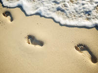 Three footprints in the sand near the shoreline on the beach